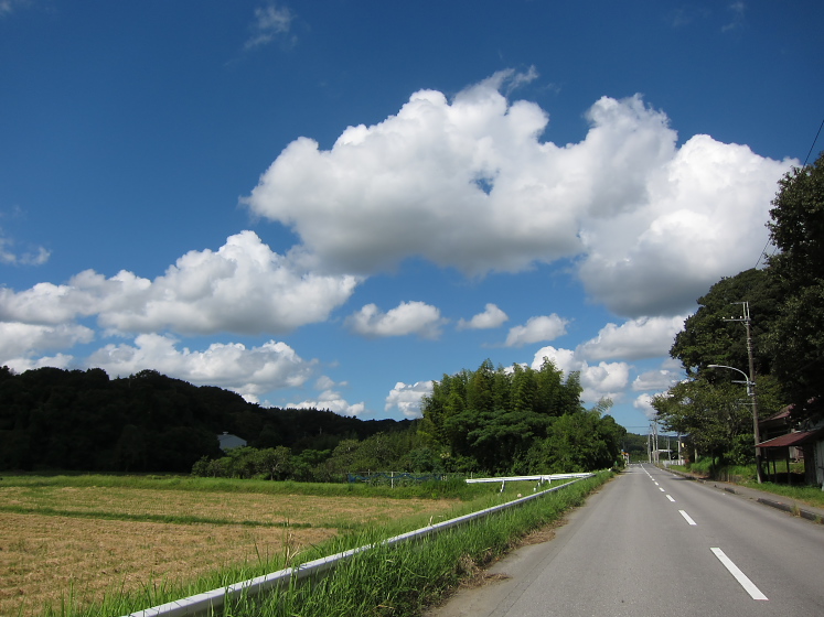 IMG_3266.jpg - 長柄町