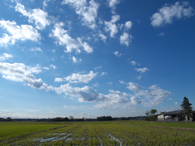 IMG_0757.jpg - 本埜