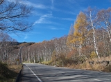 IMG_0505