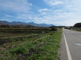 IMG_0557