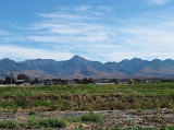 IMG_0567