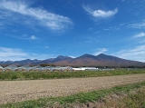 IMG_0577