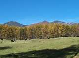 IMG_0591