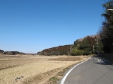 IMG_0904