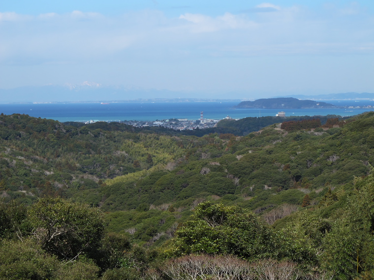 IMG_1179.jpg - 安房グリーンライン