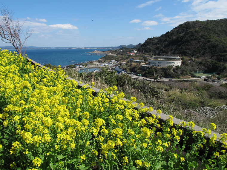 IMG_1212.jpg - 洲崎灯台にて