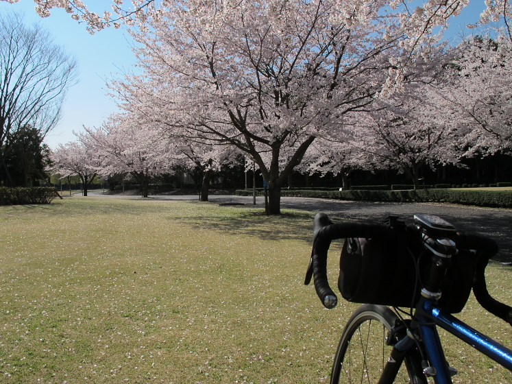 IMG_1408.jpg - 白井