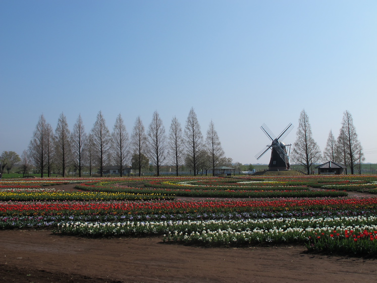 IMG_1468.jpg -  あけぼの山農業公園 