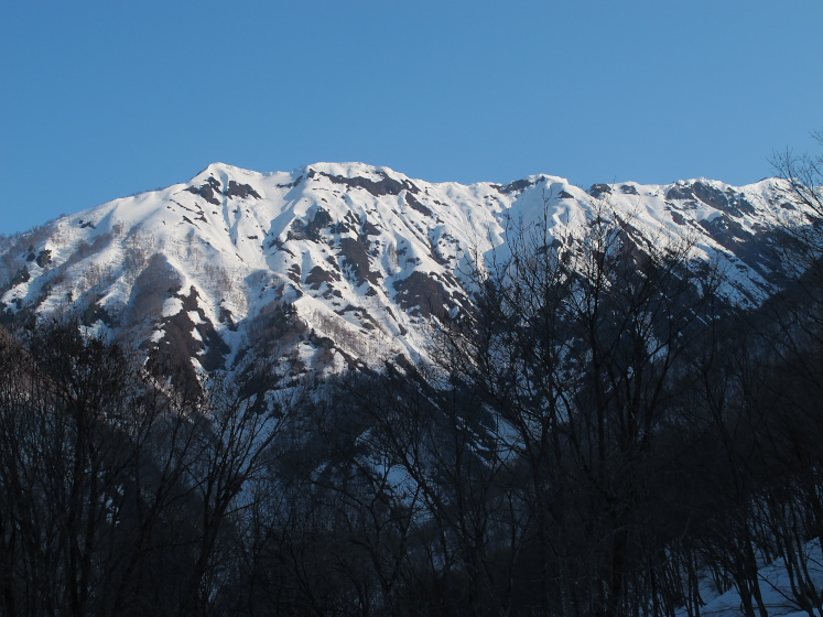 IMG_1501.jpg - 巻機山へスキー
