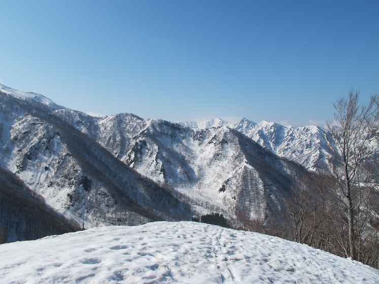 IMG_1505.jpg