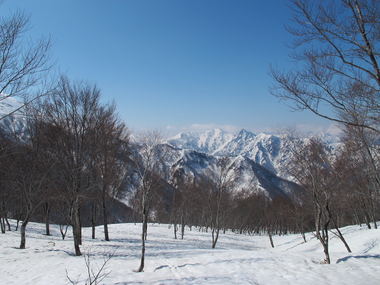 IMG_1514.jpg