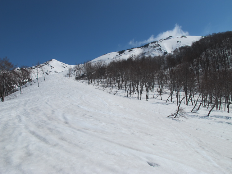 IMG_1519.jpg - ニセ巻機山