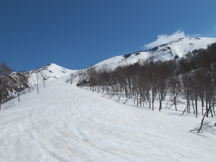 IMG_1524.jpg