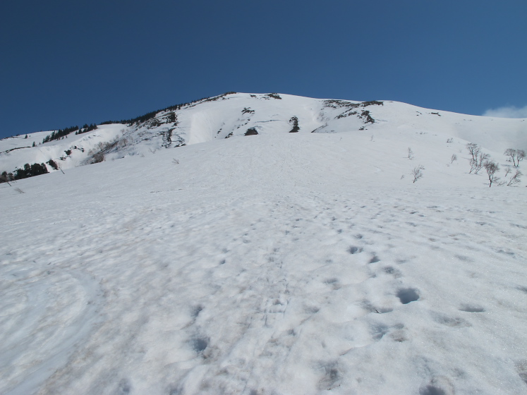 IMG_1534.jpg - ニセ巻機山