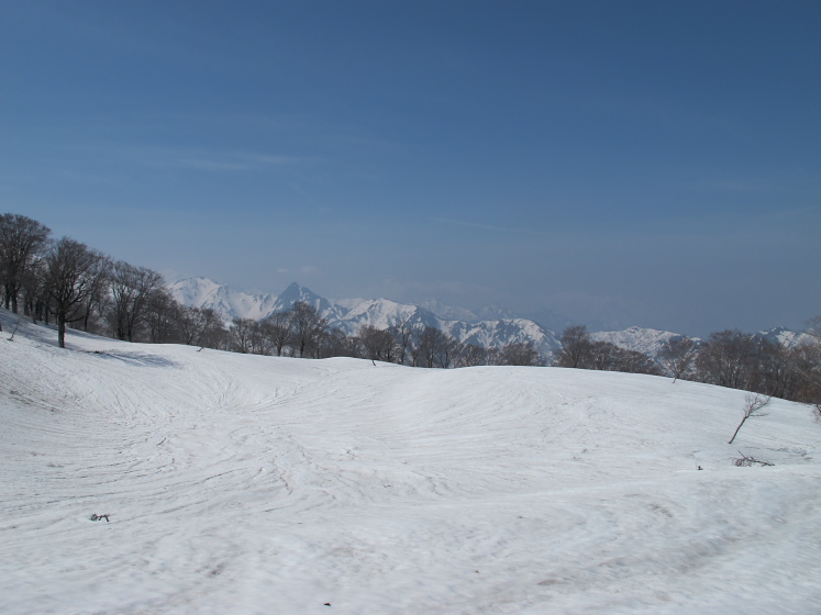 IMG_1582.jpg