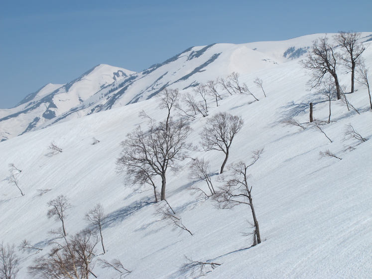 IMG_1590.jpg - 巻機山　割引山