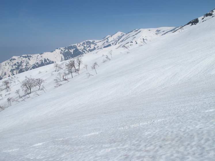 IMG_1592.jpg
