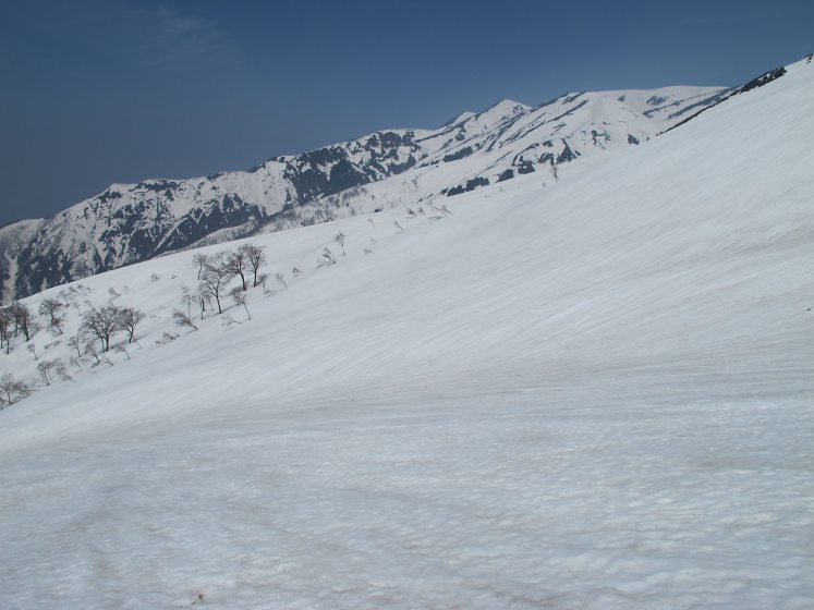 IMG_1619.jpg