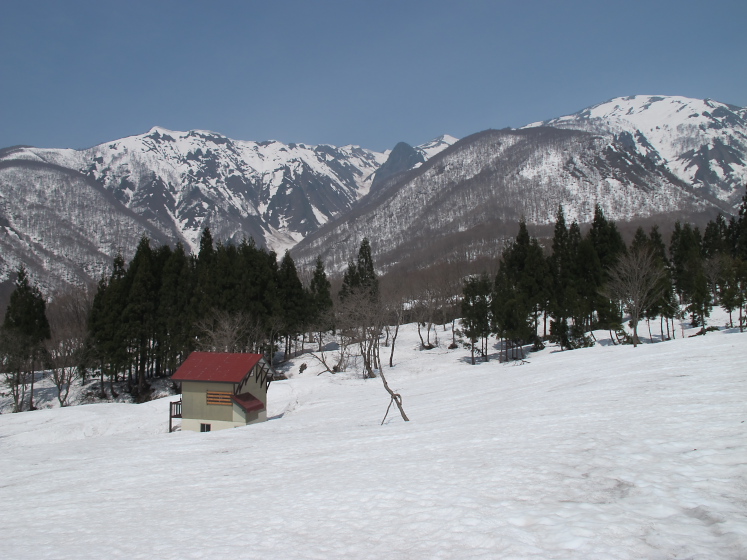 IMG_1636.jpg