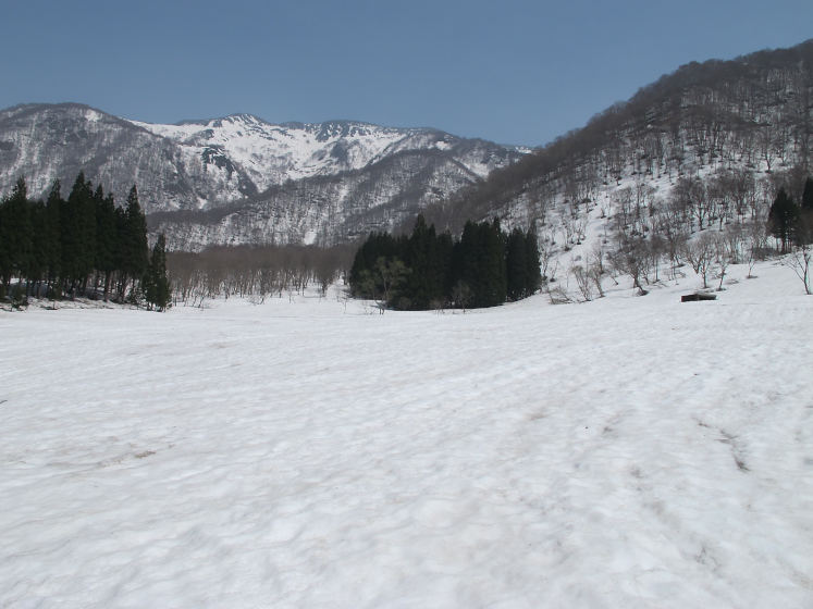 IMG_1639.jpg