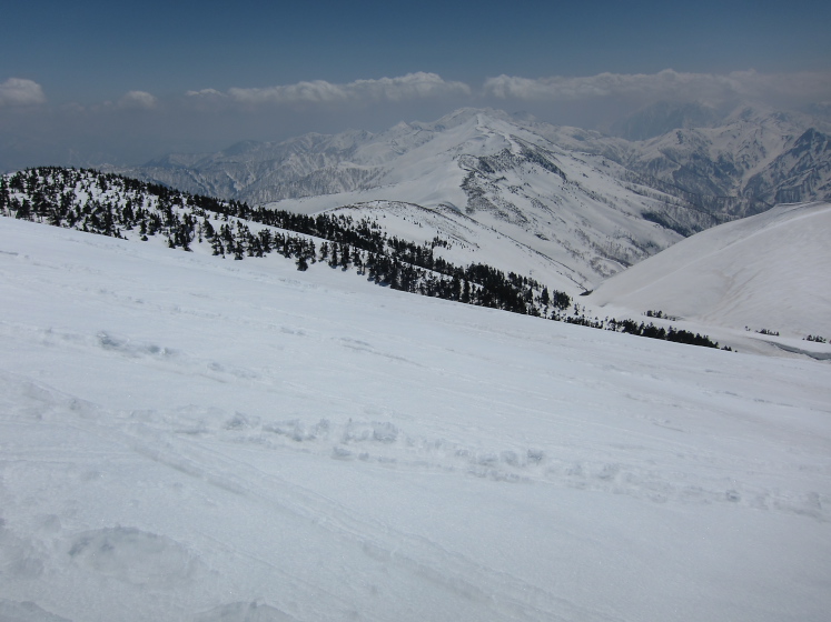IMG_3286.jpg