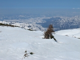 IMG_1545
