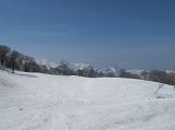 IMG_1582
