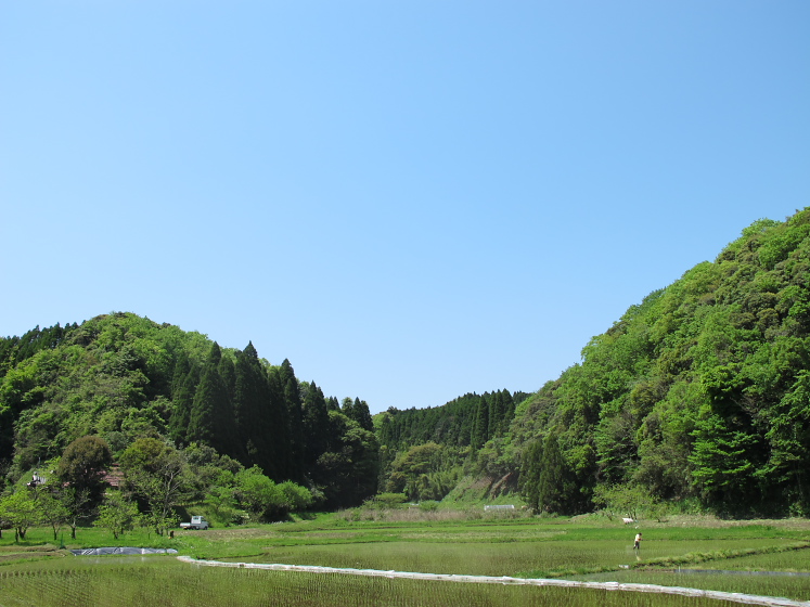IMG_1695.jpg - 長南町熊野の清水付近