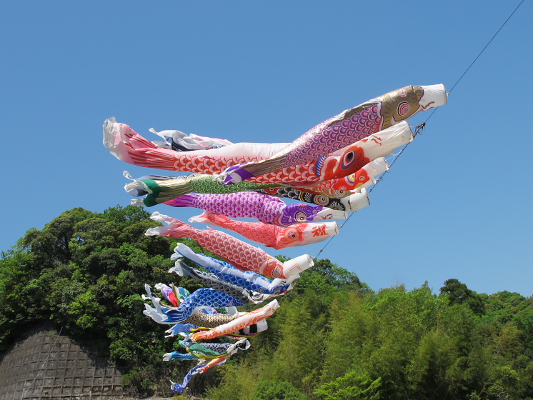 IMG_1698.jpg - 長南町熊野の清水付近