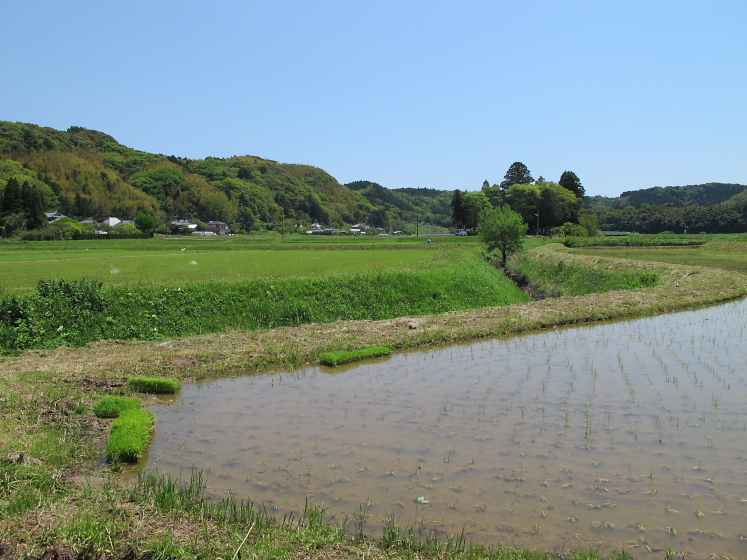 IMG_1712.jpg - 大多喜道の駅付近