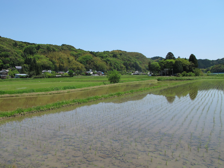 IMG_1715.jpg - 大多喜道の駅付近