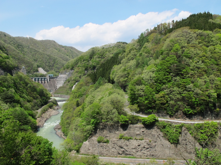 IMG_1774.jpg - 利根町根利付近