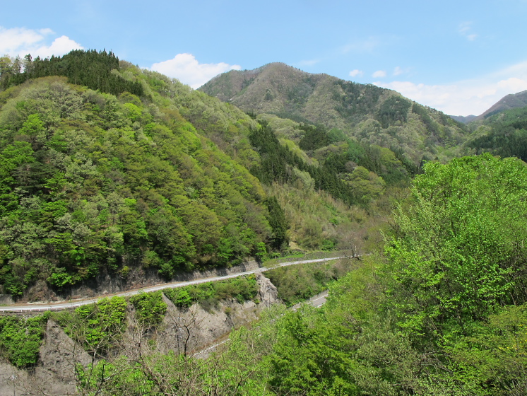 IMG_1775.jpg - 利根町根利付近