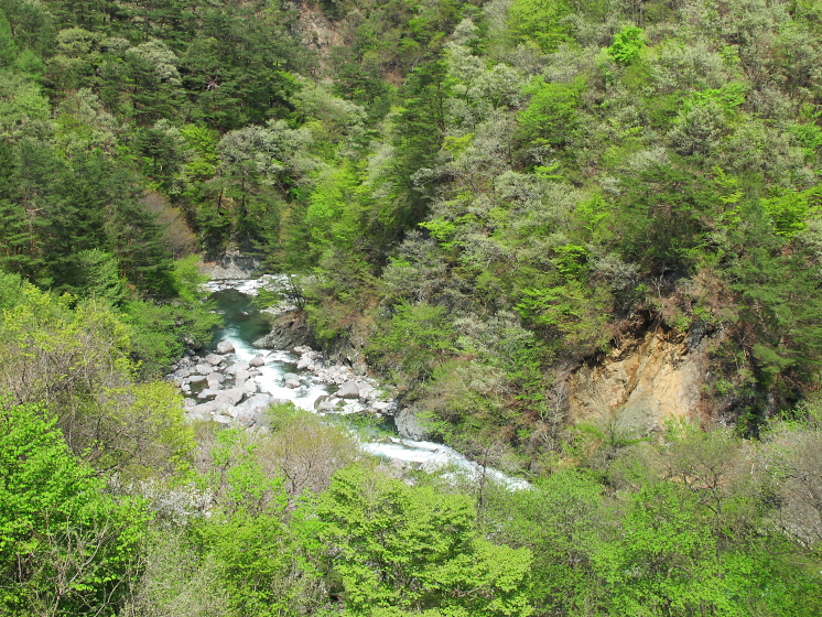 IMG_1793.jpg - 利根町根利付近
