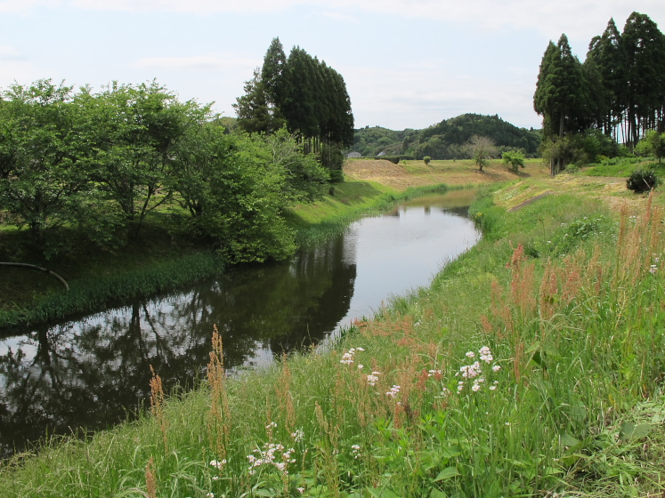 IMG_1824.jpg - 睦沢町にて