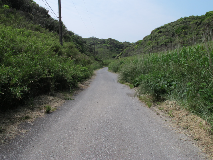 IMG_1852.jpg - 太東岬