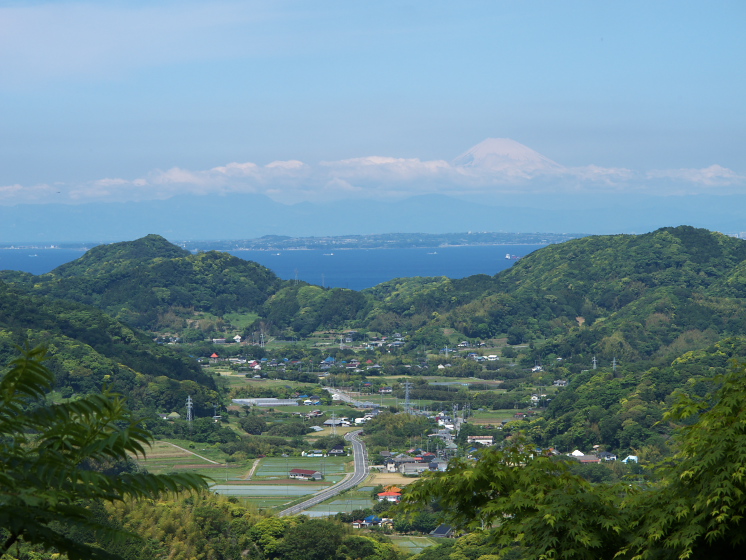 IMG_1893.jpg - 峰岡林道にて