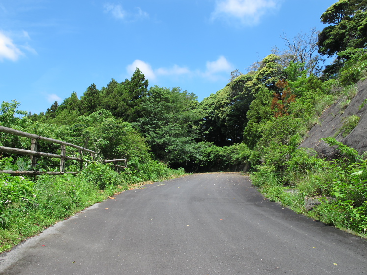 IMG_1900.jpg - 峰岡林道