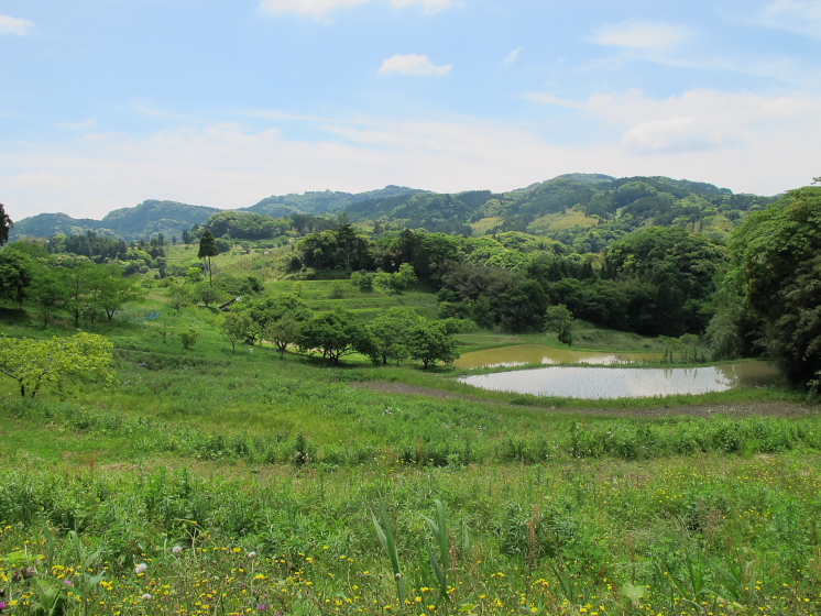 IMG_1903.jpg - 大山千枚田付近