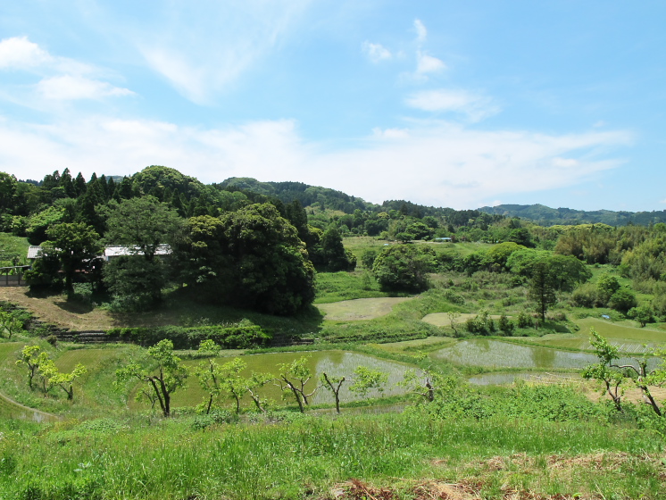 IMG_1905.jpg - 大山千枚田付近