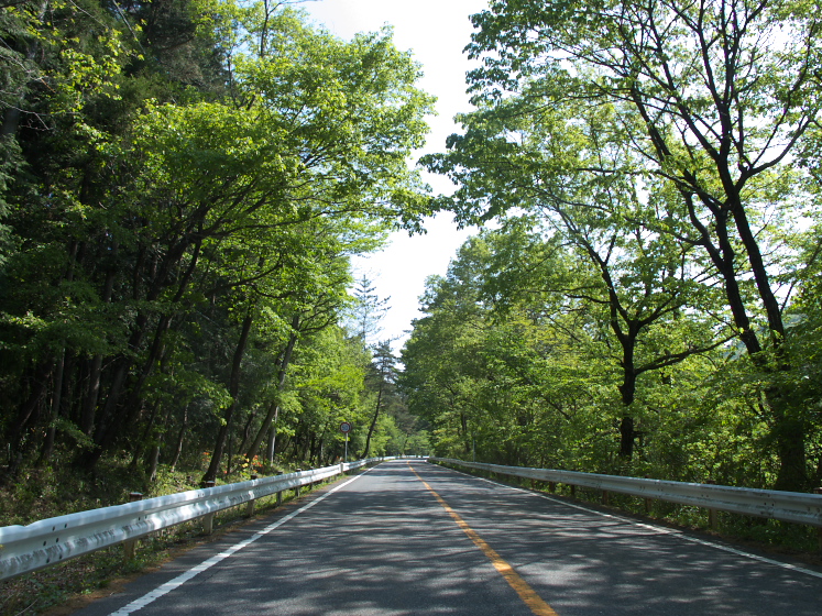IMG_1946.jpg - 前橋赤城線を赤城山へ向かう