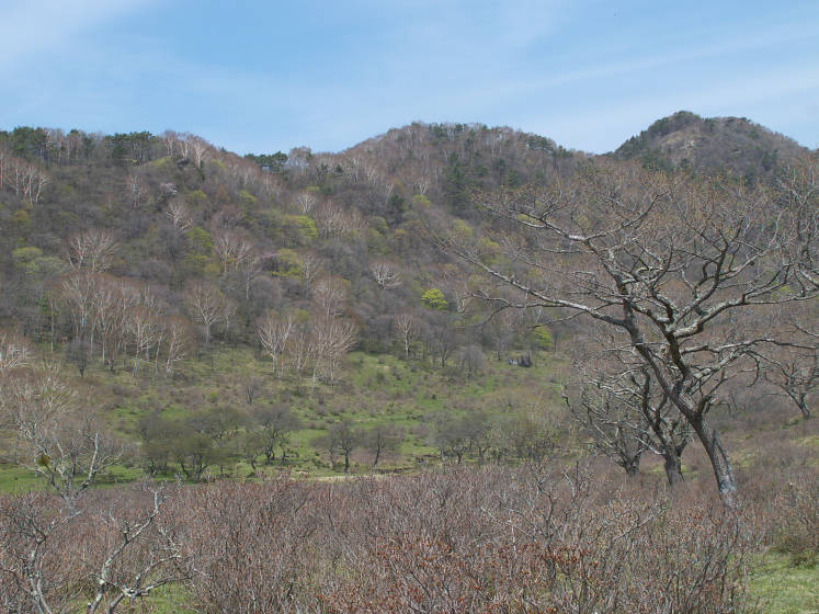 IMG_1956.jpg - 赤城山観光案内所付近
