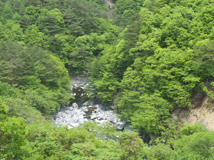 IMG_1961.jpg - 利根町根利付近