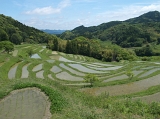 IMG_1916