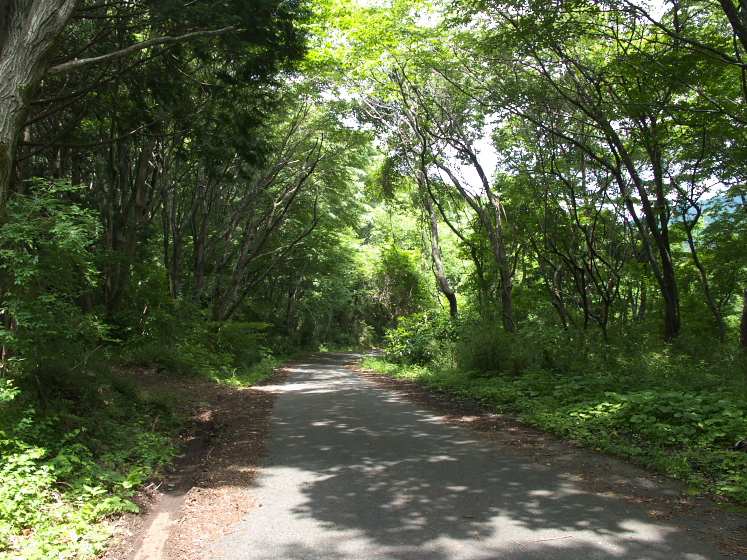 IMG_2049.jpg - 湯袋峠から上曽峠へ（車は通行止め）