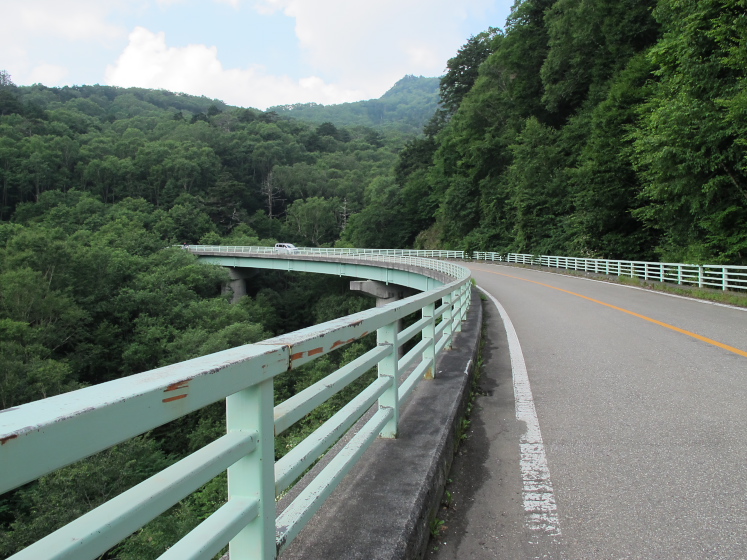 IMG_2116.jpg - 落合大橋