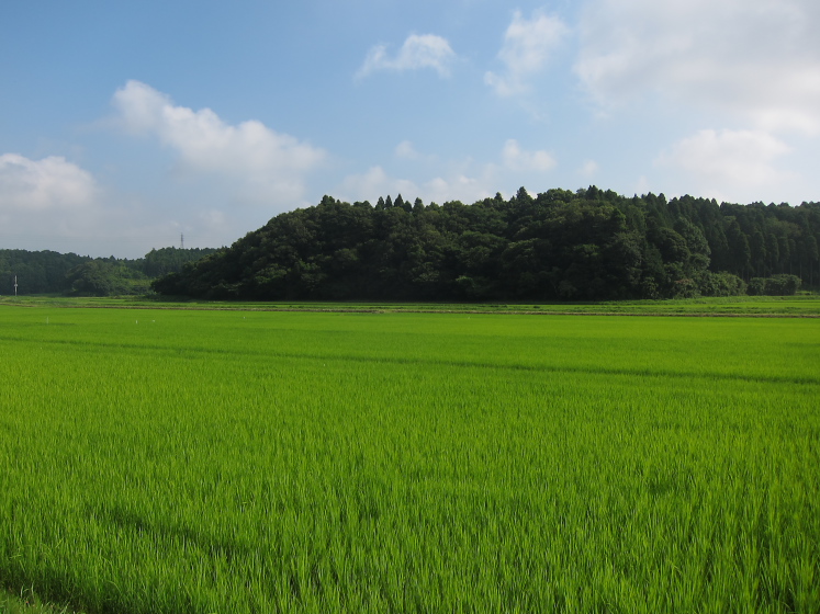 IMG_3398.jpg - 大網白里
