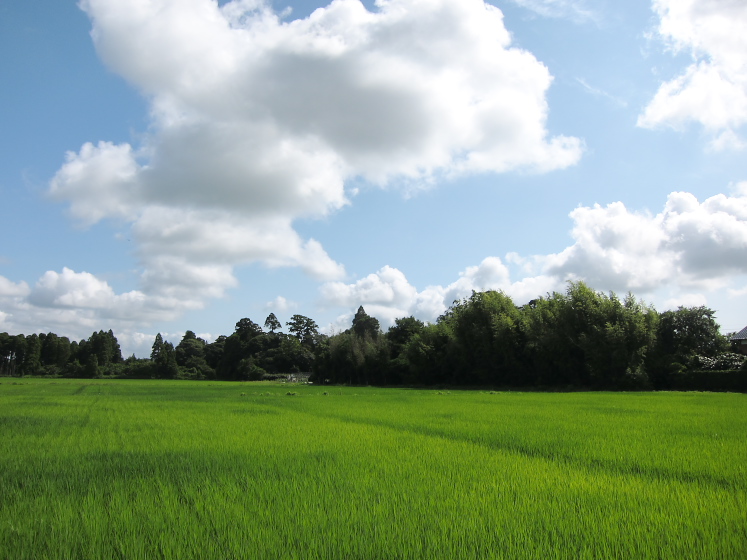 IMG_3400.jpg - 大網白里