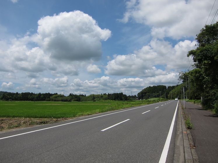 IMG_3412.jpg - 岬町