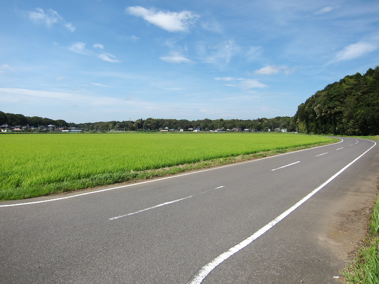 IMG_3428.jpg - 神崎川付近